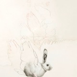 Molly I (No 2) 2013 - Graphite on paper - 100 x 60 cm
